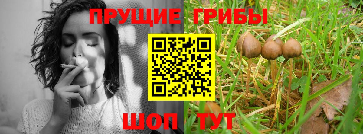 Галлюциногенные грибы GOLDEN TEACHER  Вход с VPN  Новокуйбышевск 